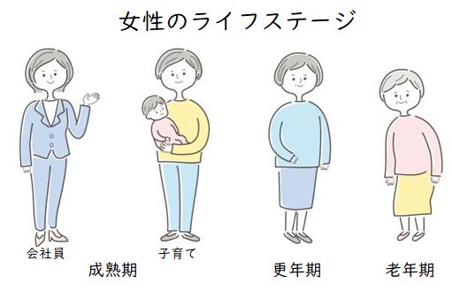 女性ライフステージ